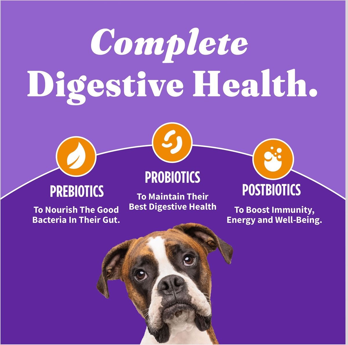 Halo Holistic Complete Digestive Health Chicken and Brown Rice Dog Food Recipe Adult Dry Dog Food