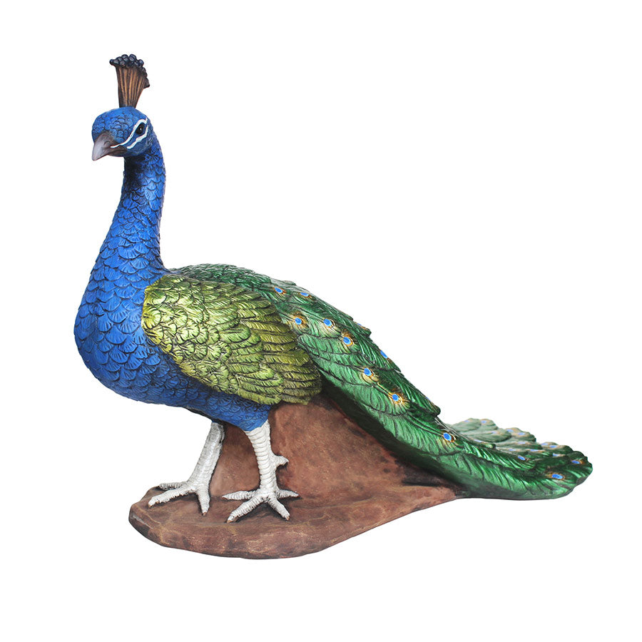 Design Toscano DB383117 The Regal Peacock Garden Statue: Medium