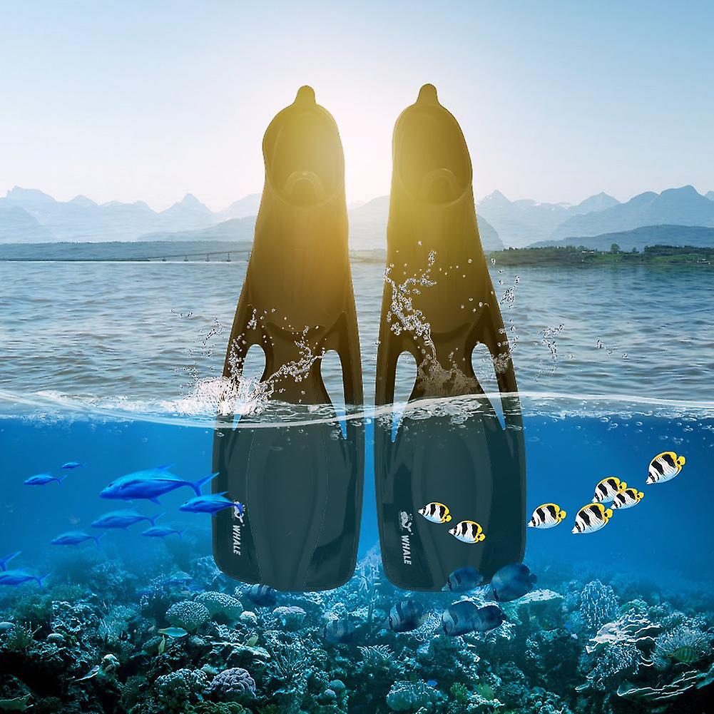 WHALE 1 Pair Adults Water Sports Snorkeling Diving Rubber Swimming Foot Fins Black (M)