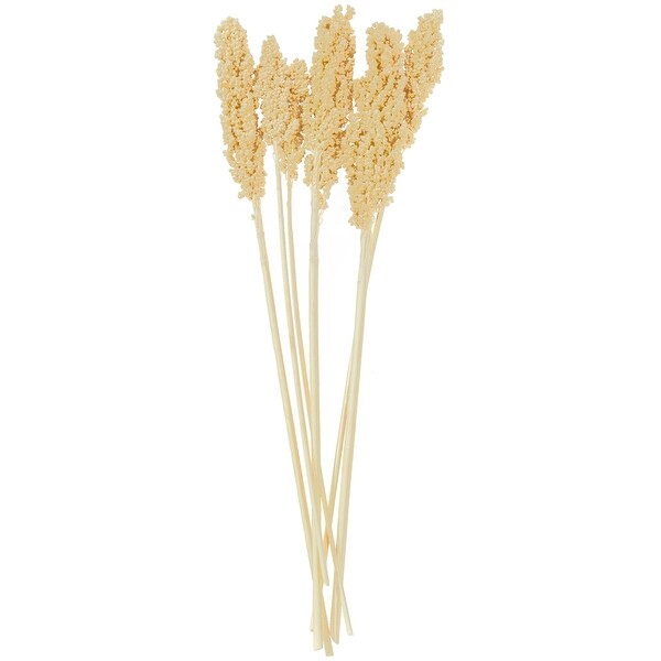 Cream Dried Plant Corn Maze Home Decor Natural Foliage with Long Stems