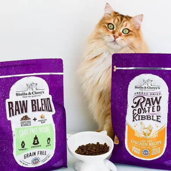 Stella and Chewy Raw Coated Kibble Cage Free Chicken Recipe Dry Cat Fo;