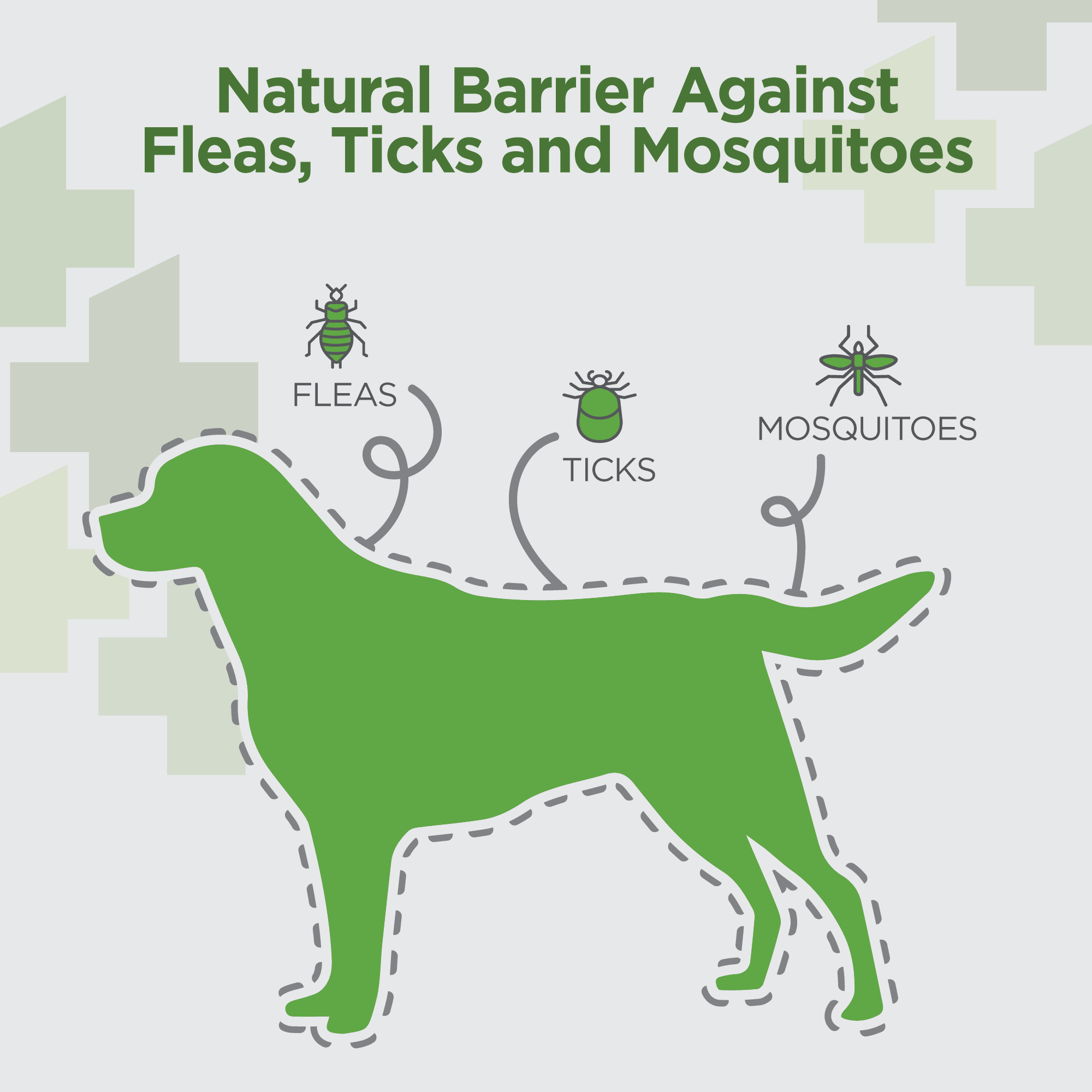 Vetality Naturals Oral Flea  Tick Dog Chews， Count of 120