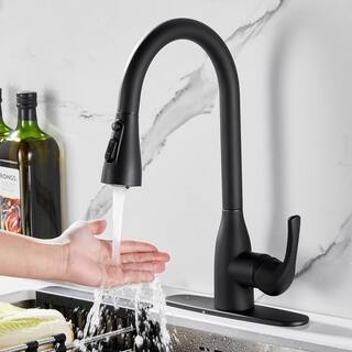 Zalerock Single Handle Pull Down Sprayer Kitchen Faucet with Deck Plate Included in Matte Black HLTHP0233