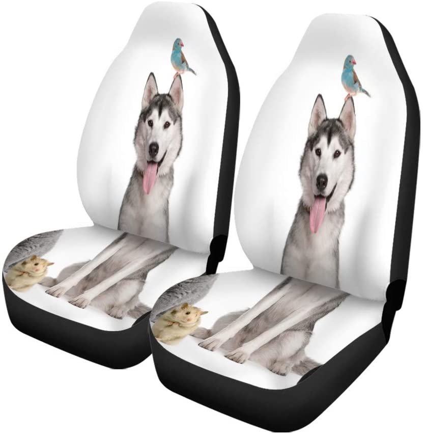 FMSHPON Set of 2 Car Seat Covers Dog Group of Pets in Front Cat Bird Hamster Universal Auto Front Seats Protector Fits for Car，SUV Sedan，Truck