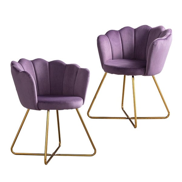 Modern Velvet Set Of 2 Living Room Chair