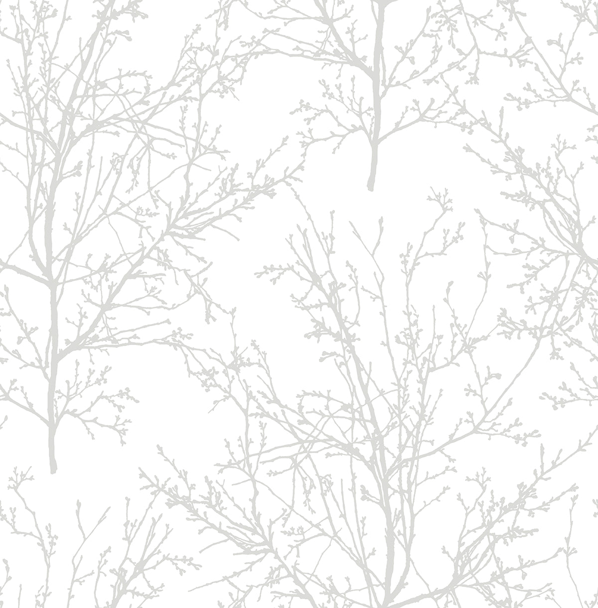 Sample Tree Branches Peel-and-Stick Wallpaper in Pearl Grey