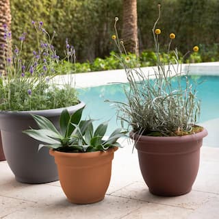 Bloem Ariana 17.75 in. Terra Cotta Plastic Self-Watering Planter 20-56116