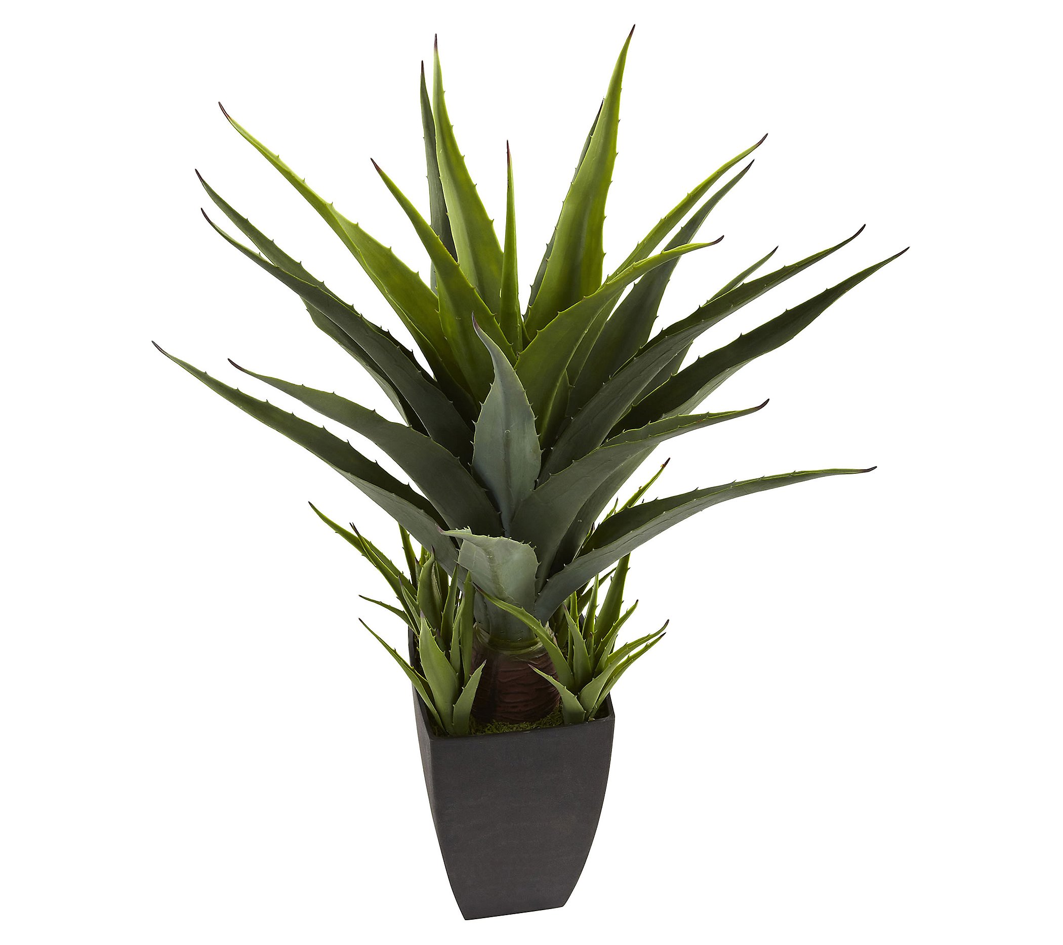 2-1 2' Agave w Black Planter by Nearly Natural