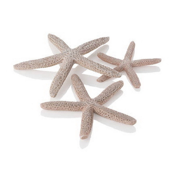 BiOrb BO01033 Natural Star Fish Set