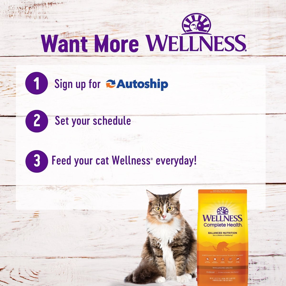 Wellness Complete Health Chicken Indoor Dry Cat Food