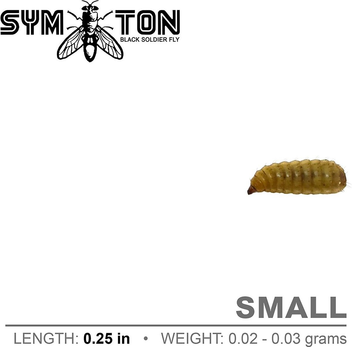 Symton Small Live Black Soldier Fly Larvae Lizard Food