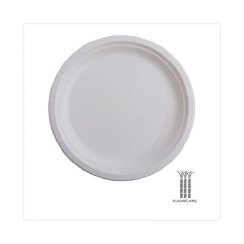 Eco-Products Renewable and Compostable Sugarcane Plates Convenience Pack， 6