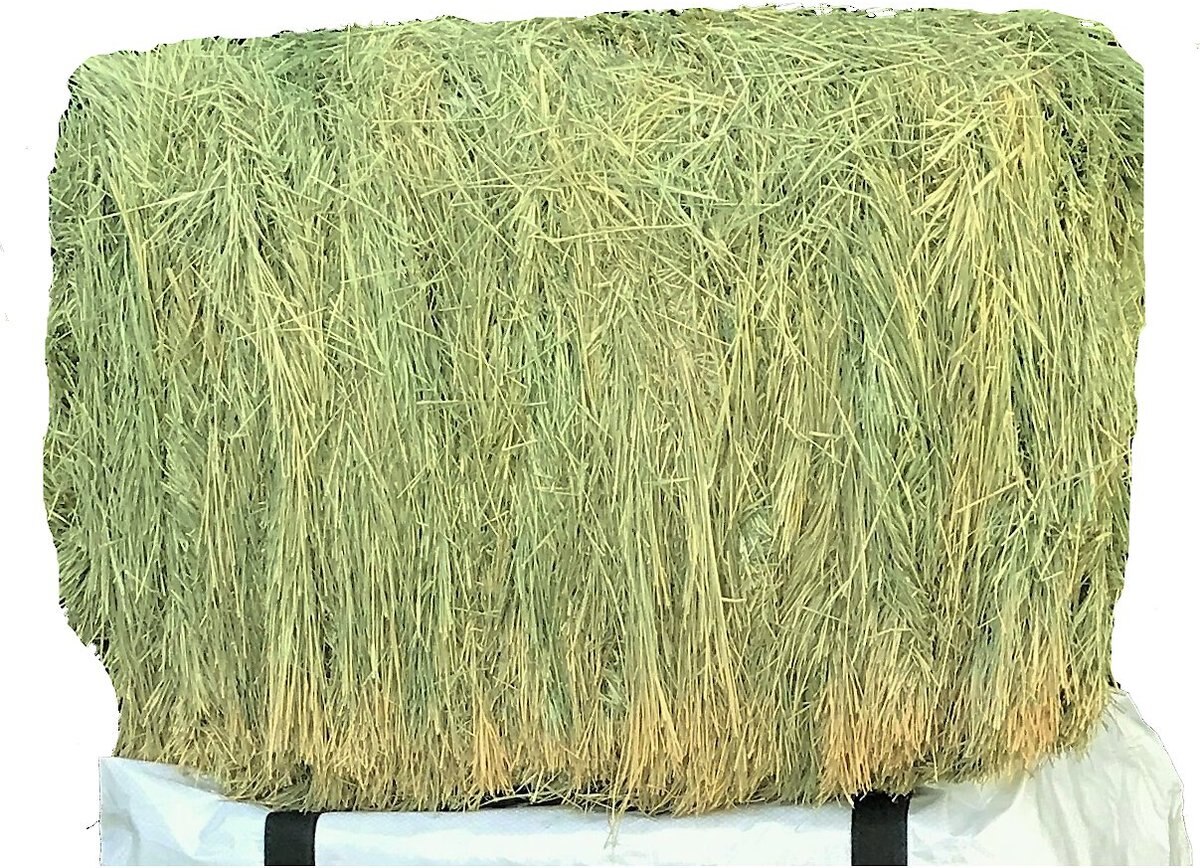 Ametza Premium Compressed Bermuda Hay Bale Horse Forage