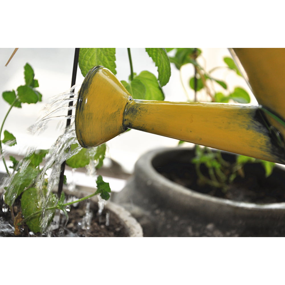 Westcharm Mother's Day Gift， Decorative Sunflower and Ladybug Metal Watering Can (Vol: 4 Cups)