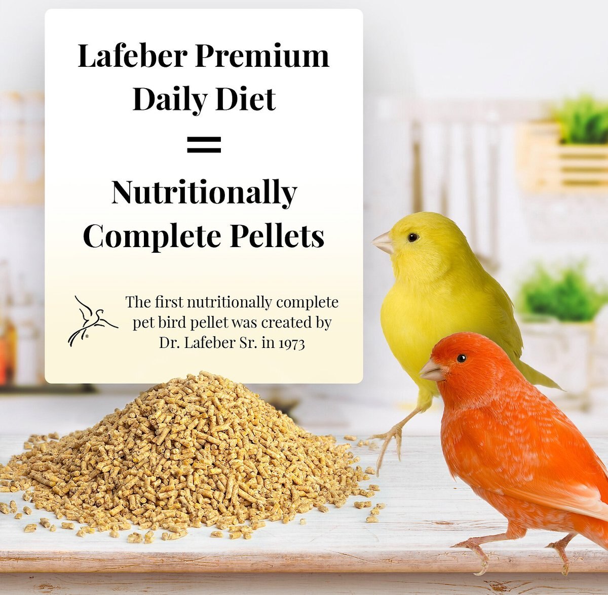 Lafeber Premium Daily Diet Canary Bird Food