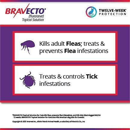 Bravecto Topical Solution for Cats， 6.2-13.8 lbs， (Blue Box)