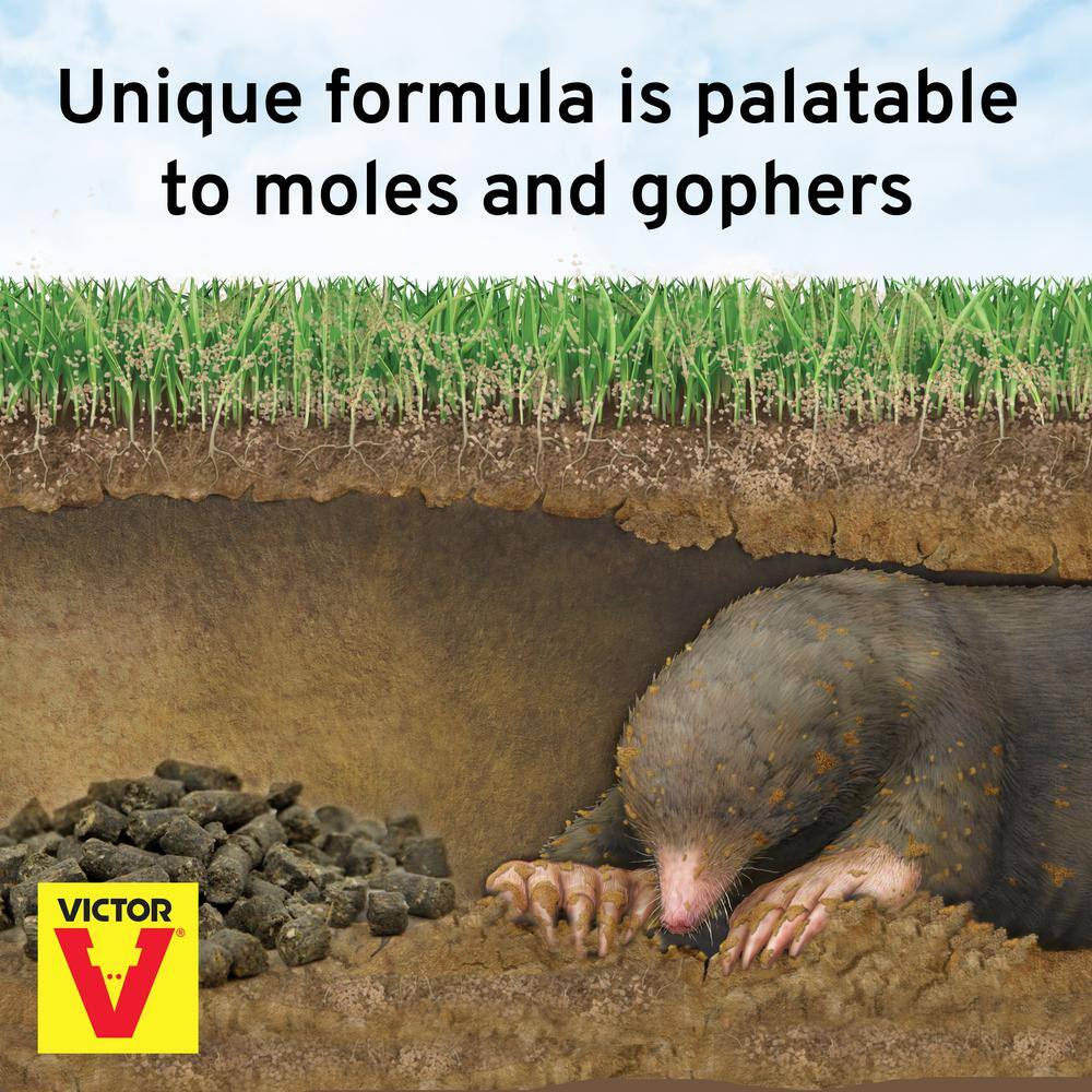 Victor 6 oz. Mole and Gopher Poison Peanuts M6006