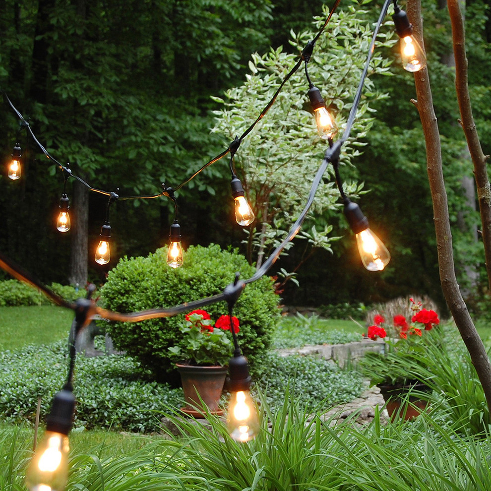 Electric String Lights  Commercial Grade Edison Style  12 Light   Industrial   Outdoor Rope And String Lights   by JH Specialties Inc.  Houzz