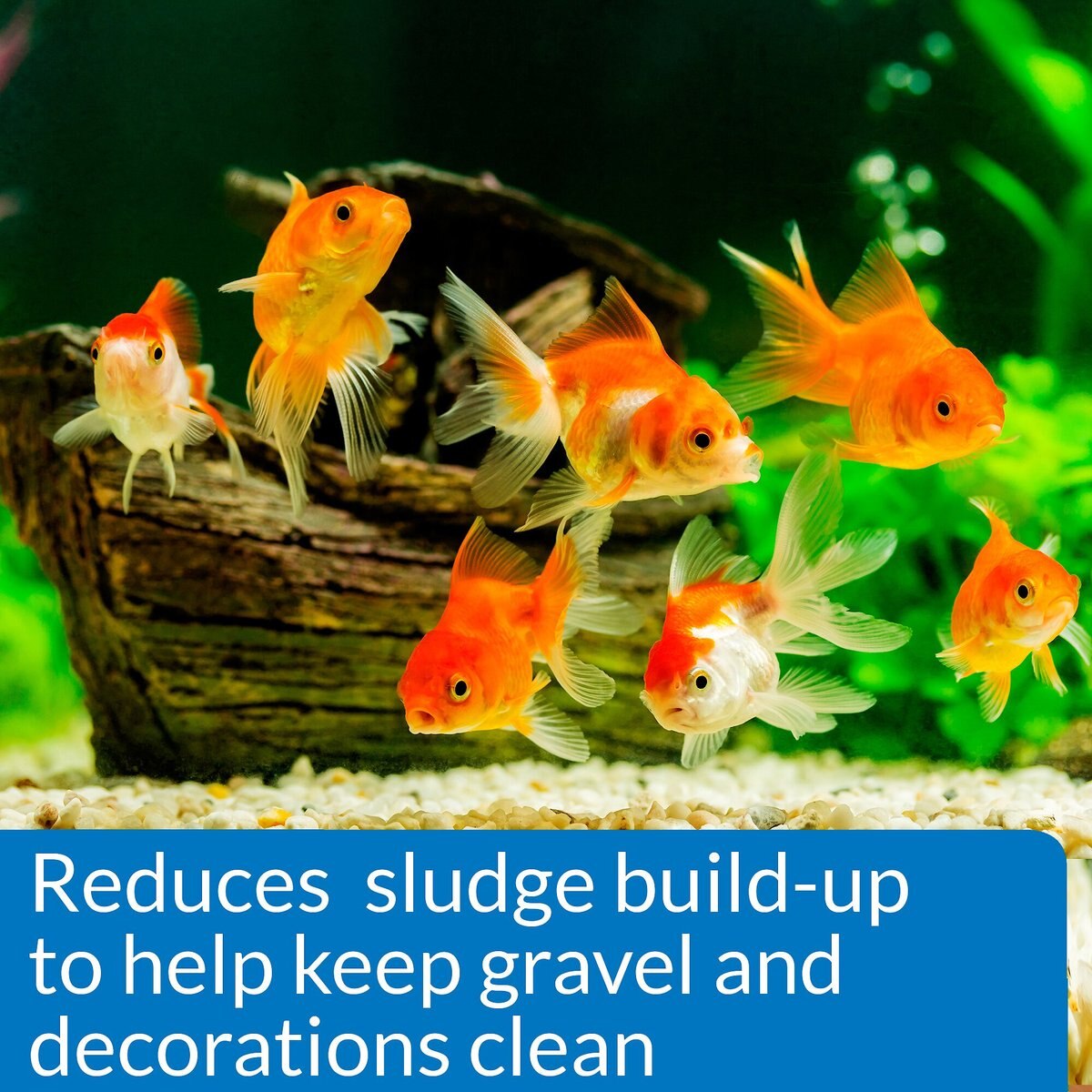 API Goldfish Protect Aquarium Water Conditioner