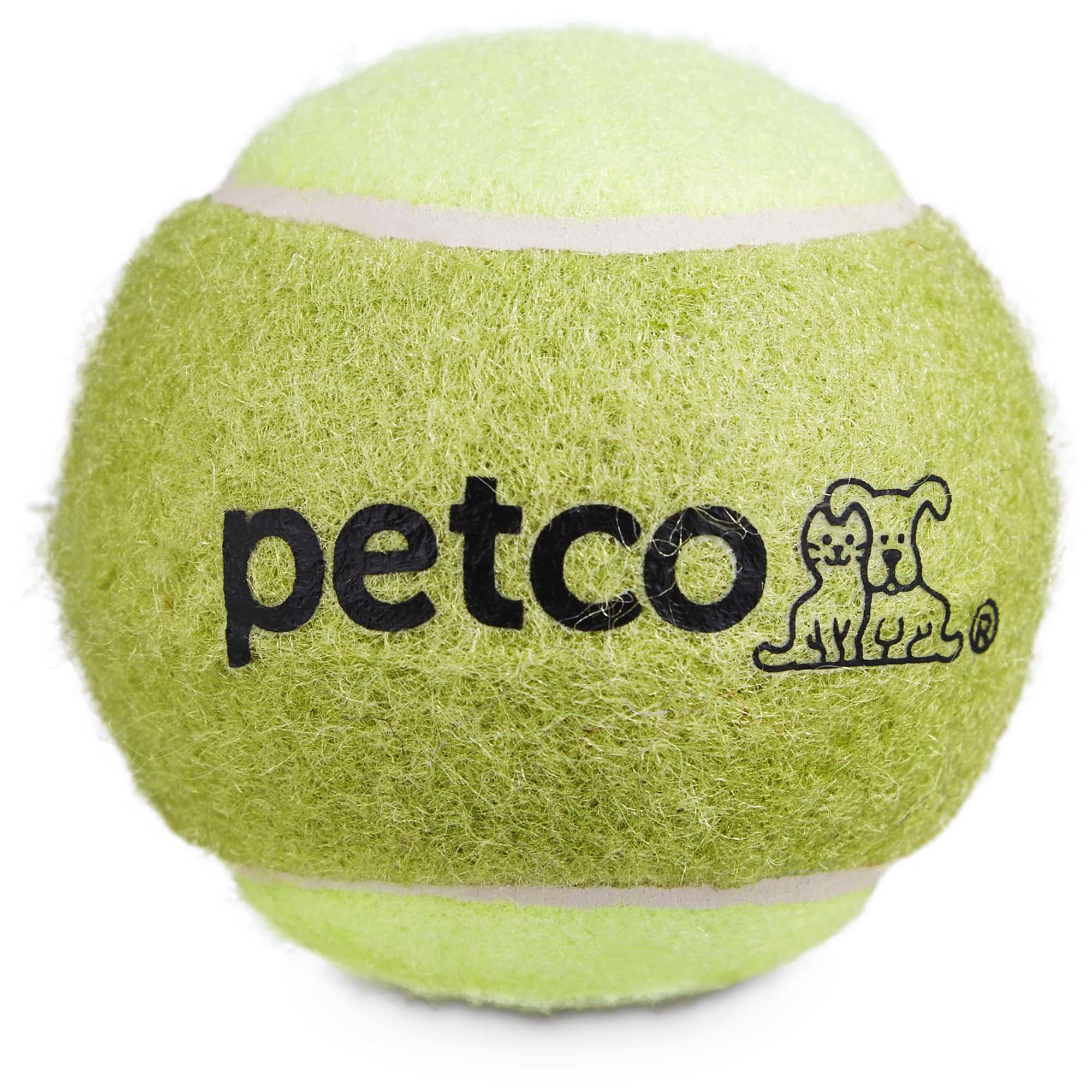 Petco Tennis Ball Dog Toy in Green， 2.5