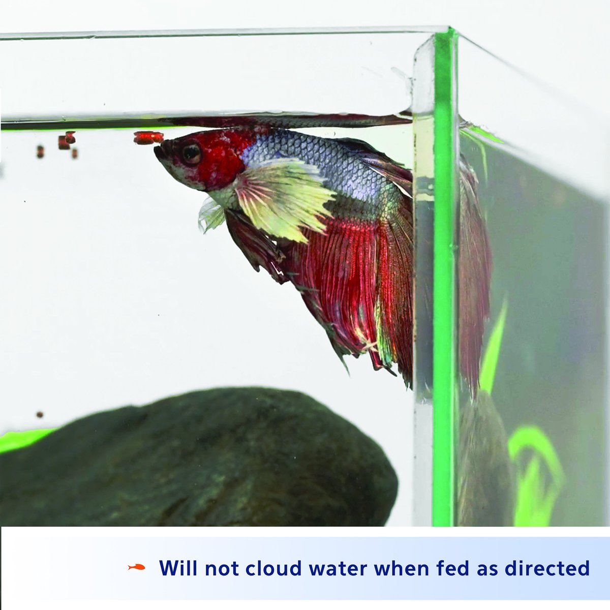 Aqueon Color Enhancing Betta Fish Food