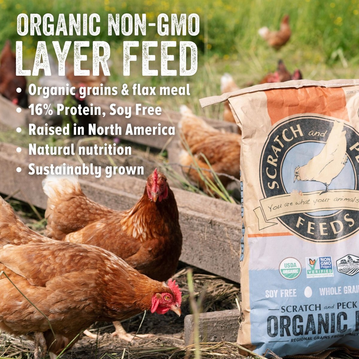 Scratch and Peck Feeds Naturally Free Organic Layer 16% Poultry Feed