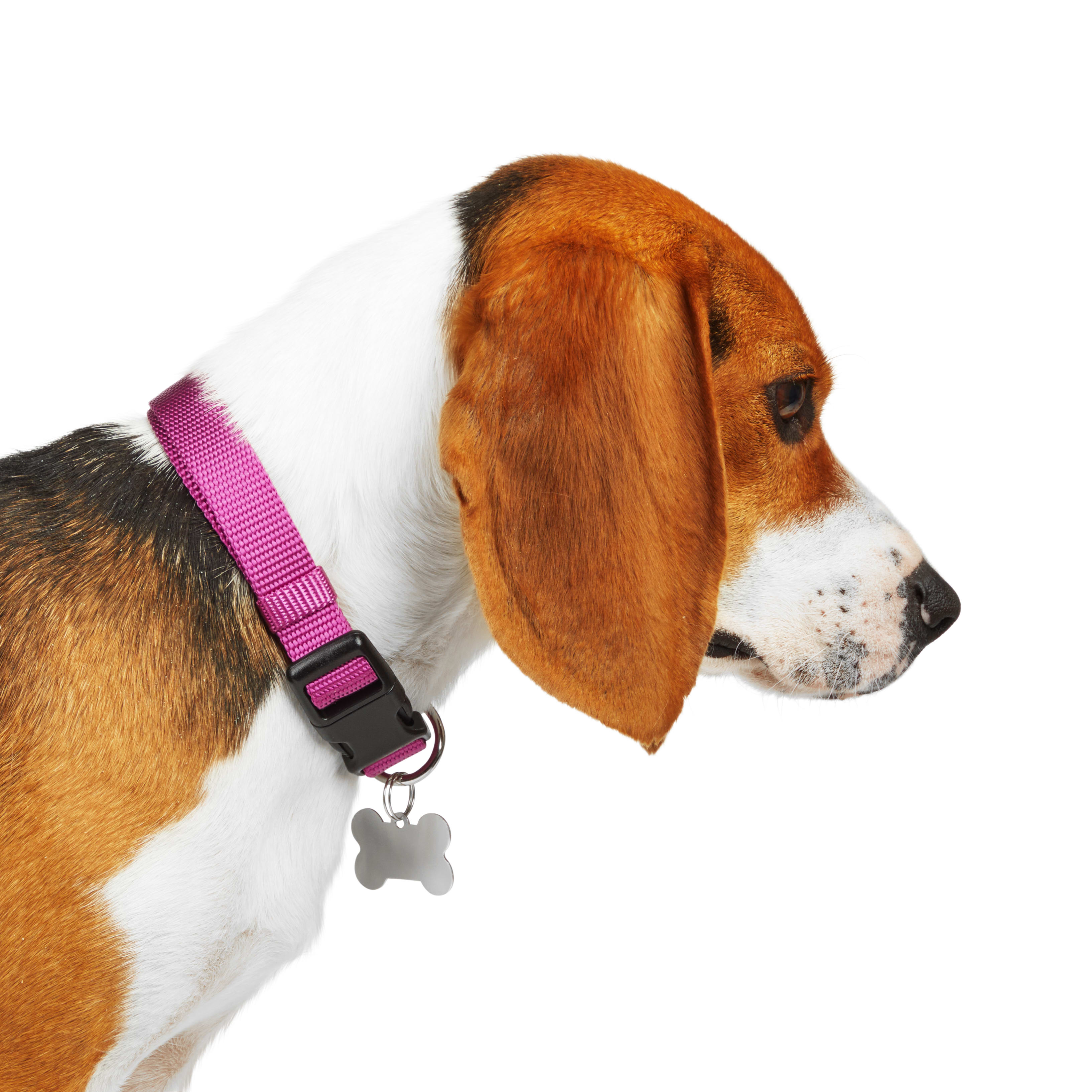 YOULY Berry Adjustable Dog Collar， X-Small