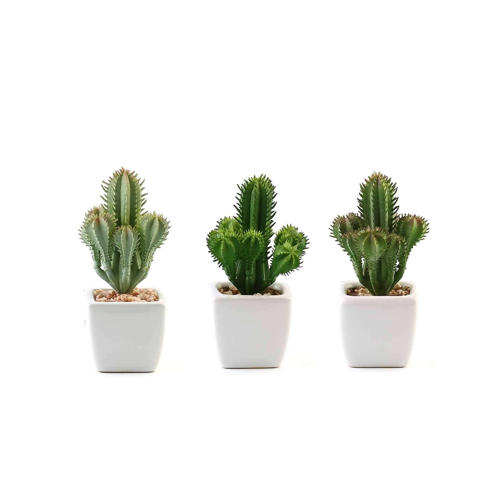 3 Pack Ceramic Planter Pot and Artificial Cacti Succulent Plants 5