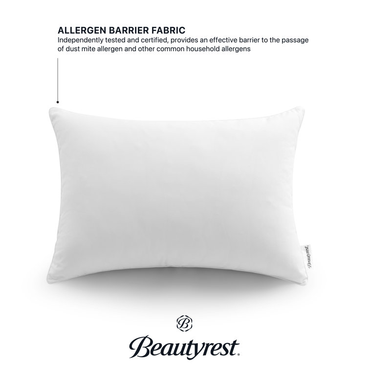 Beautyrest Certified Asthma & Allergy Friendly Pillow Set Of 2