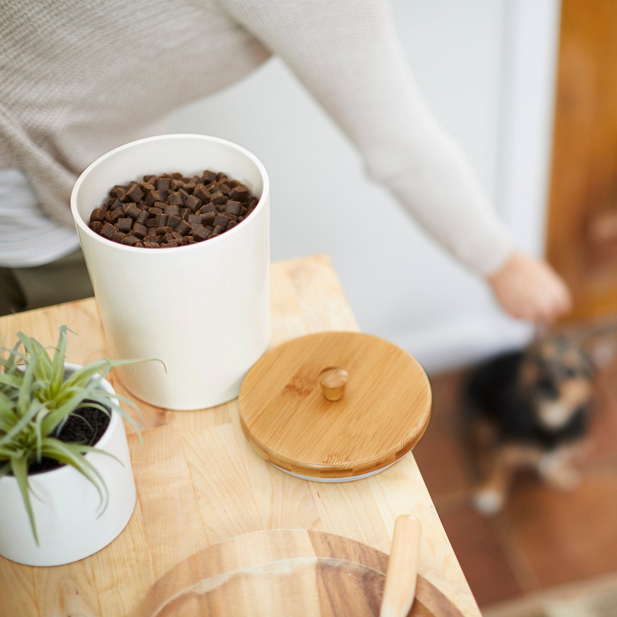 Frisco Melamine Dog and Cat Treat Jar with Bamboo Lid