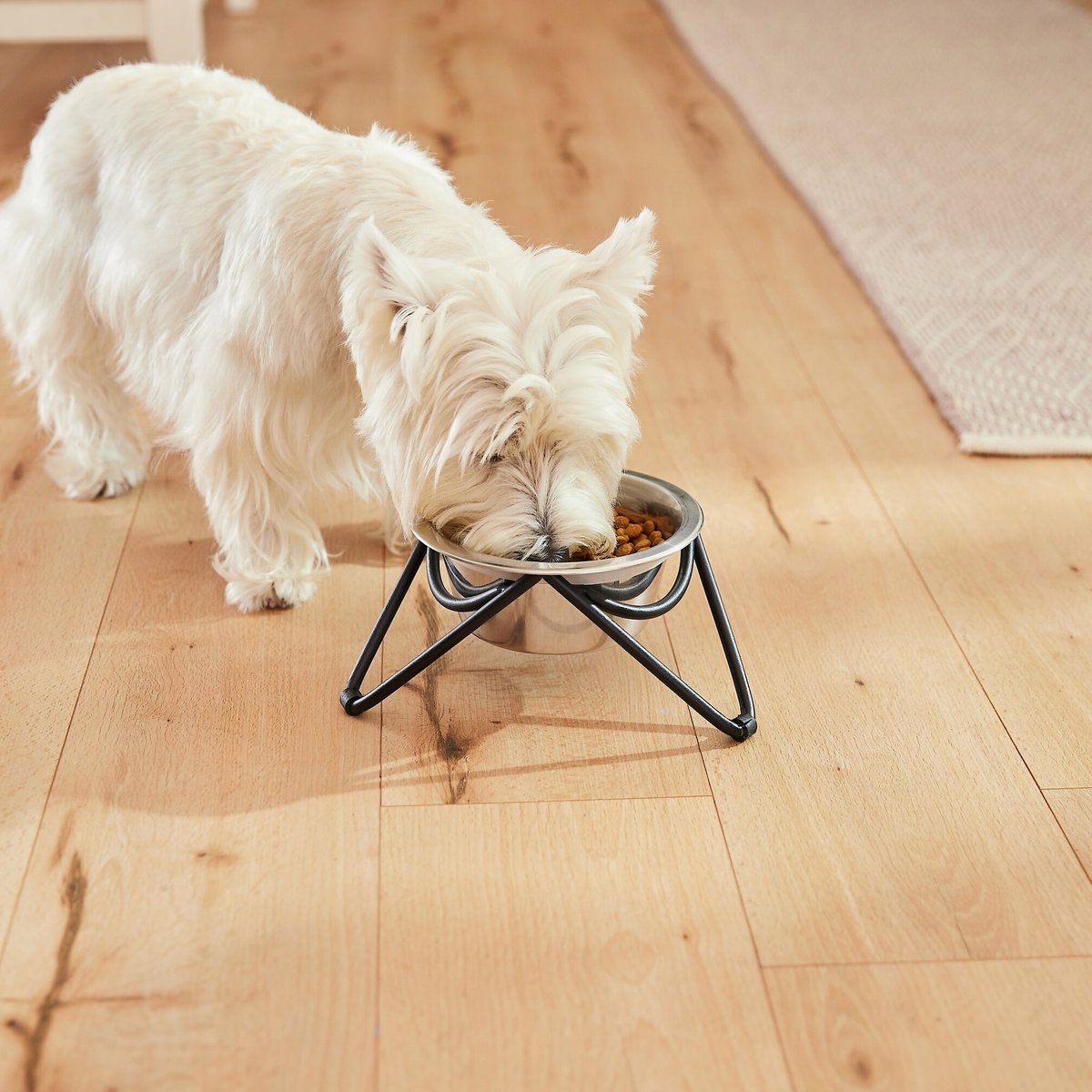 Frisco Triangle Iron Non-Skid Elevated Dog and Cat Bowl