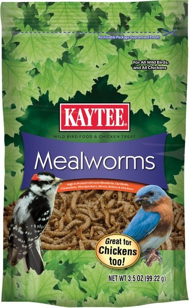 Kaytee Meal Worm Wild Bird Food