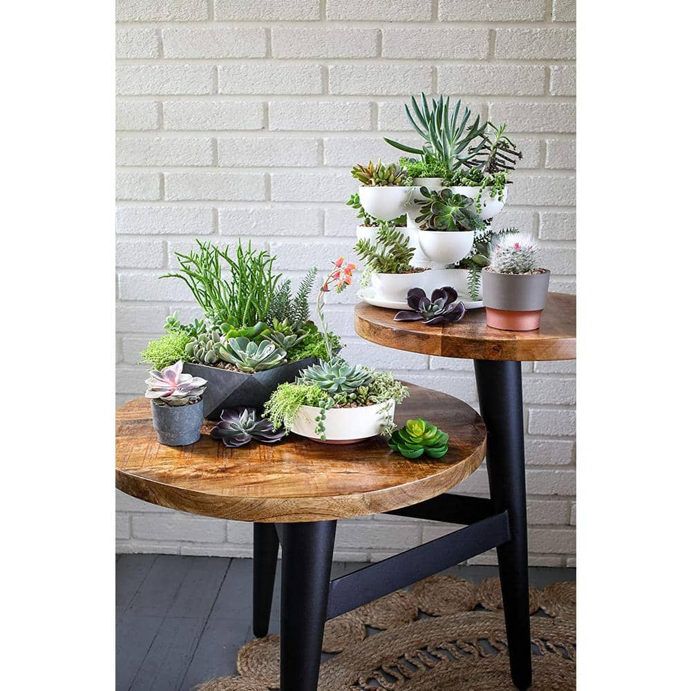 THE HC COMPANIES 8 in. Vanilla Bisque Pixie Indoor Stacking Succulent Planter Pot SPP08000A581004LRDHZ-VANILLA