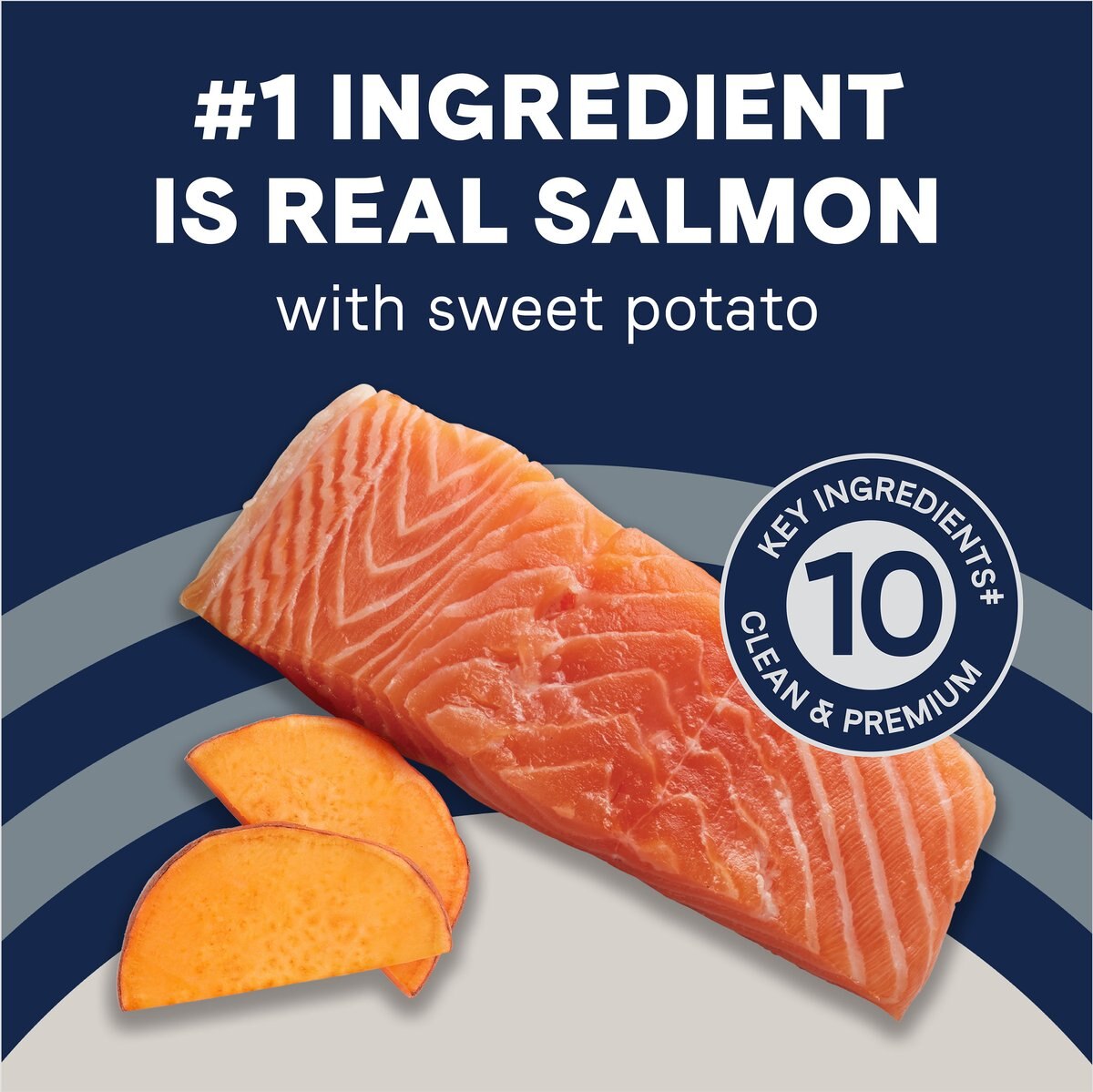 CANIDAE Pure Goodness Real Salmon and Sweet Potato Recipe Adult Dry Dog Food