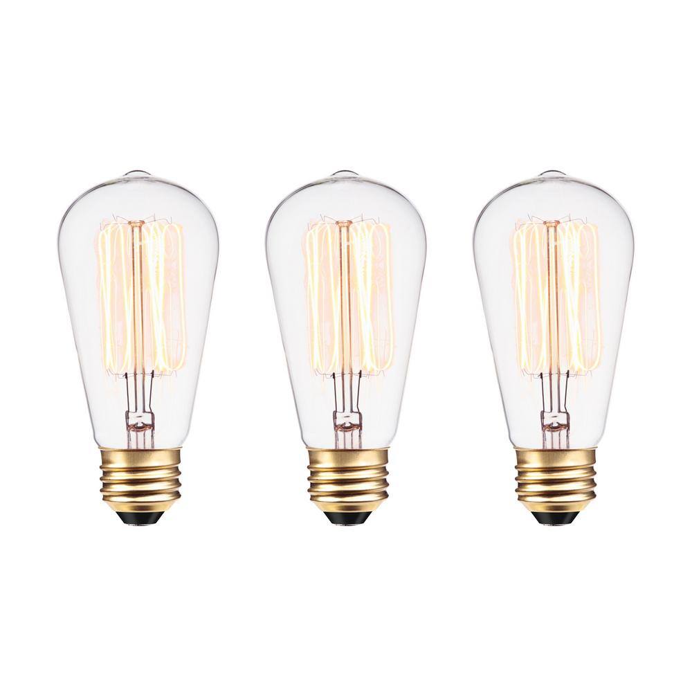 Globe Electric 60 Watt ST19 Dimmable Cage Filament Vintage Edison Incandescent Light Bulb Warm White Light (3-Pack) 31321