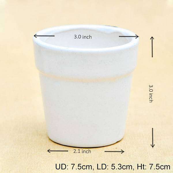 3 inch (8 cm) Round Ceramic Pot with Rim (White) (set of 3)