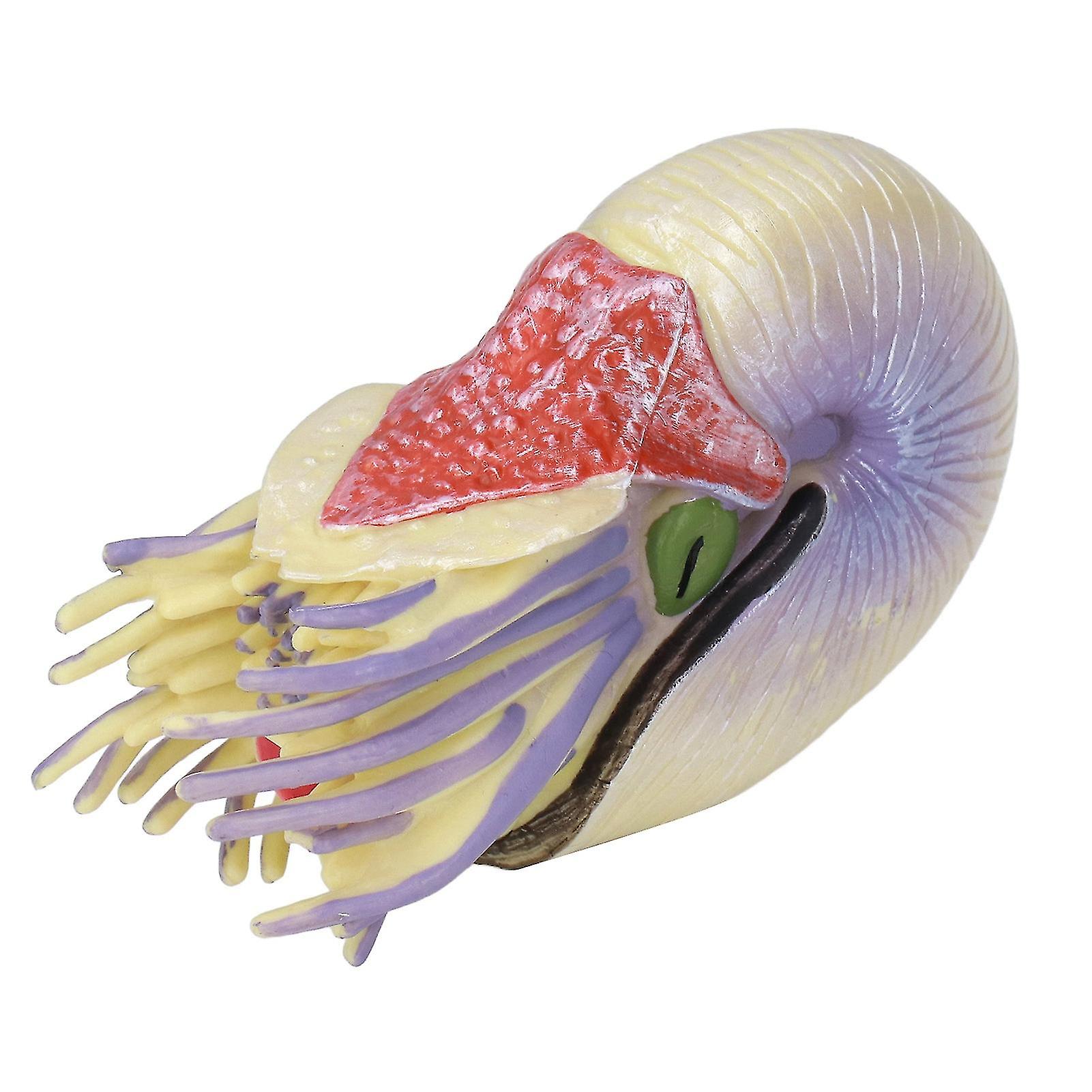 Lifelike Spiral Shell Sea Animal Figures Model Cute Marine Animal Educational Figures