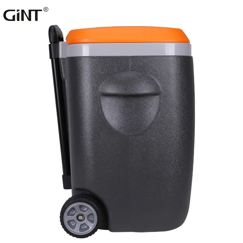 plastic hiking travel hot sale cans cooler drinks camping cool box box ice workmen