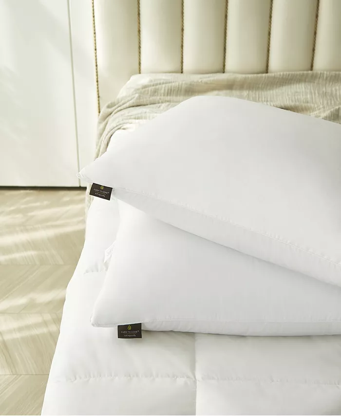 Farm to Home Softy-Around White Feather and Down Cotton 2-Pack Pillow， Standard Queen