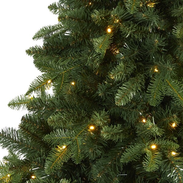 7' Grand Teton Spruce Flat Back Christmas Tree with 220 Clear LED