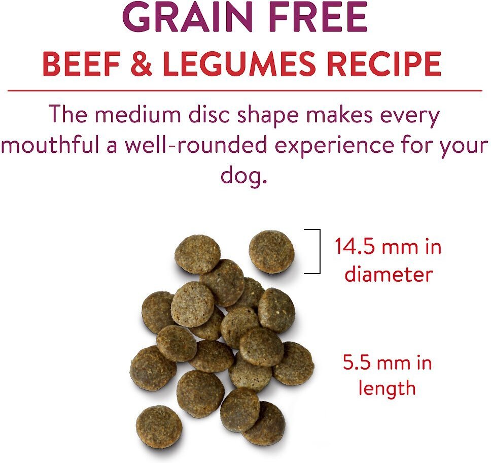 Chicken Soup for the Soul Beef and Legumes Recipe Grain-Free Dry Dog Food， 10-lb bag