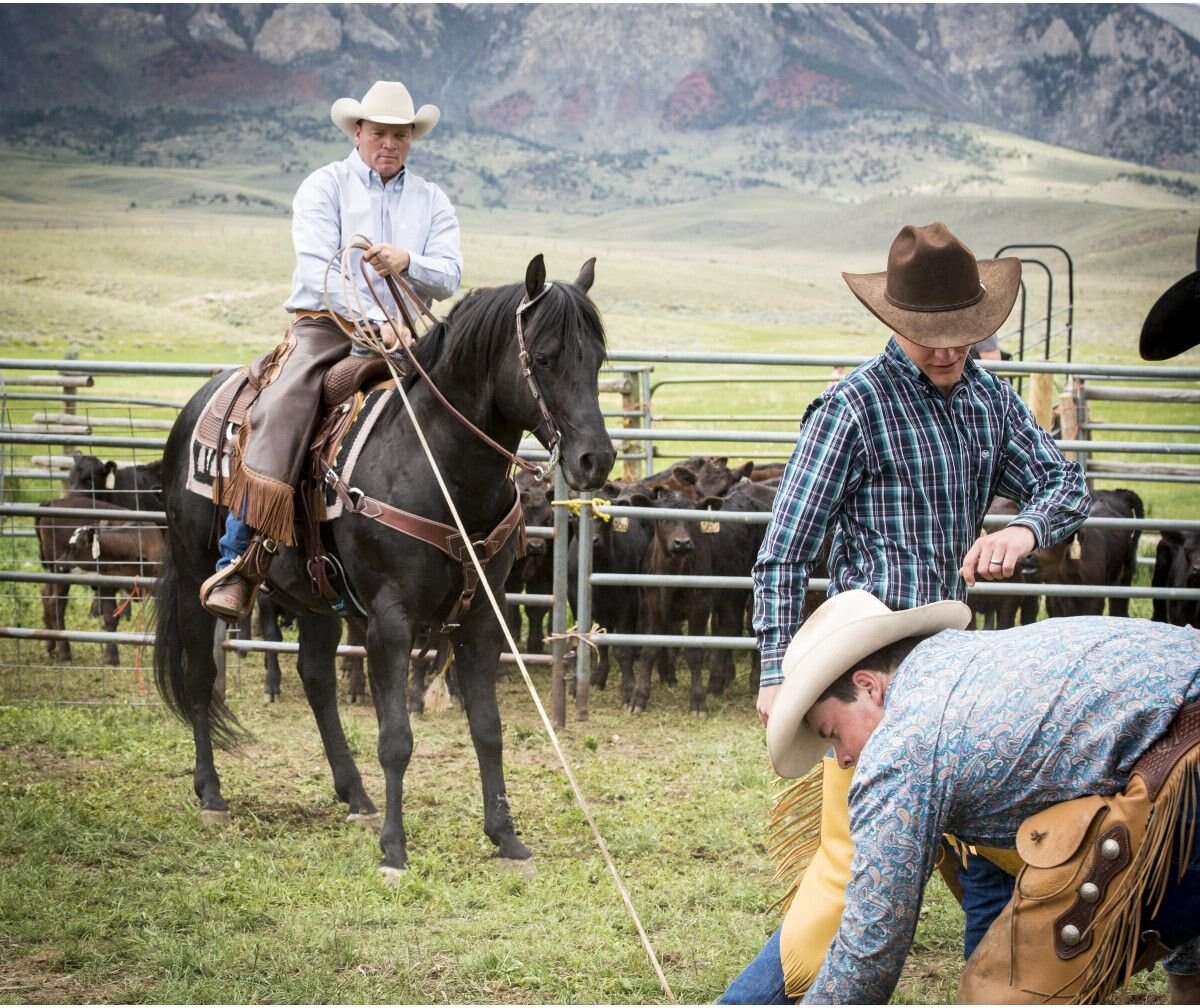 Weaver Leather AirFlex Roper Cinch and Roll Snug Horse Cinch Buckle