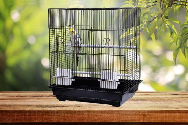 AandE Cage Company 18-in Flat Top Bird Cage， Black， Small