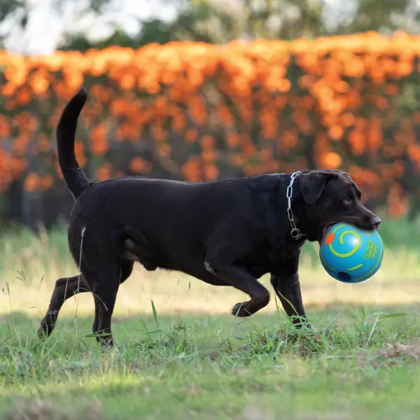 Pets Know Best Wobble Wag Giggle Treat Ball