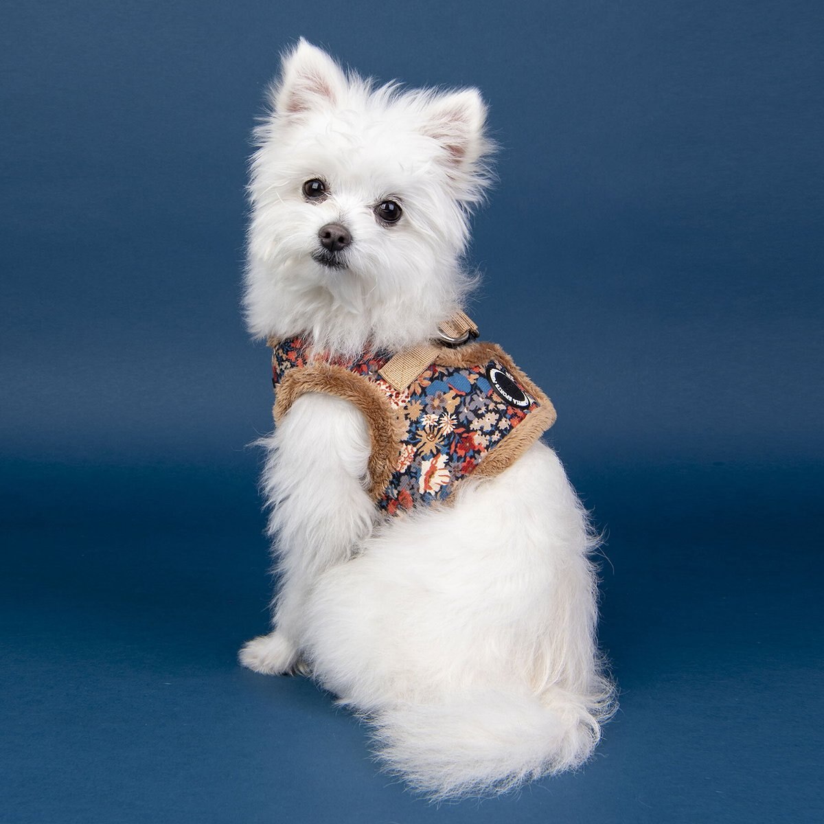 Puppia Gianni B Dog Harness