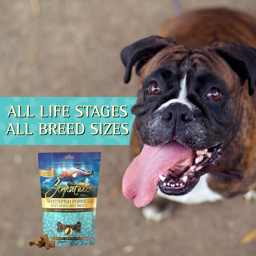 Zignature Whitefish Flavored Soft Dog Treats