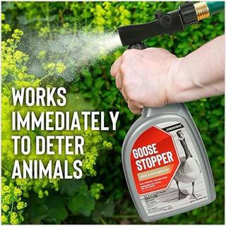 ANIMAL STOPPERS Goose Stopper Animal Repellent 32 oz. Ready-to-Spray Hose End GS-C-032-HS