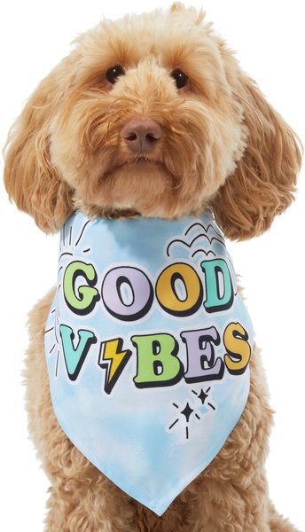 Frisco Good Vibes Dog and Cat Bandana