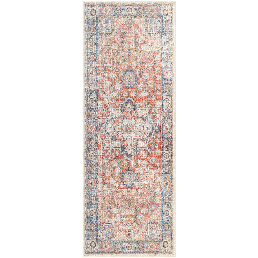 Daytona Beach Traditional Indoor/Outdoor Multi-color Rug