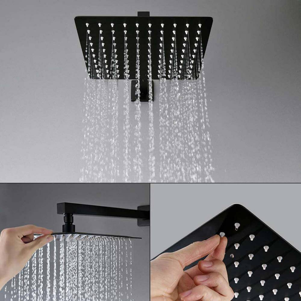 GIVING TREE 2-Spray Patterns with 2.0 GPM 12 in. Rain Shower Head Ceiling Mount Dual Shower Heads in Matte Black XLHDDTSH0014